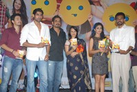 Life is Beautiful Audio Release